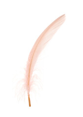 Beautiful delicate light pink feather isolated on white