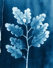  Botanic Nature cyanotype  - obrazy, fototapety, plakaty