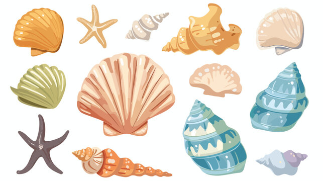 Vacation memories from beach seashell shellfish flat