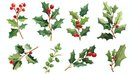 Vector illustration for design of holly berry flat vector