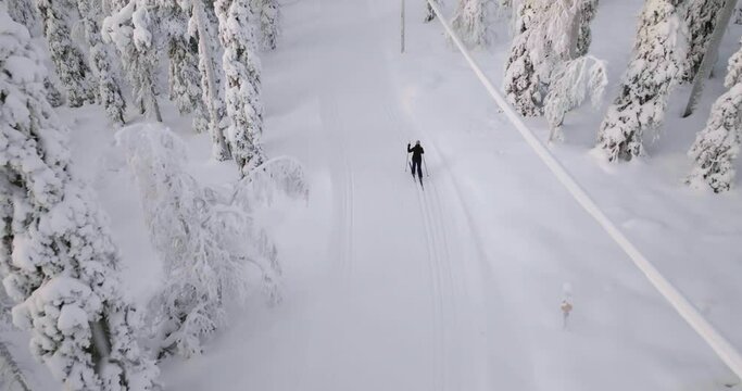 Woman cross-country skiing in middle of snowy forest, polar night colors in Lapland - Aerial view