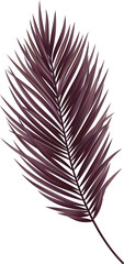 Tropic Leaf Palm Purple