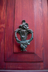 door knocker in the form of a lion on a wooden door