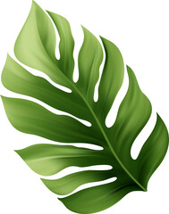 Palm Leaf Tropic
