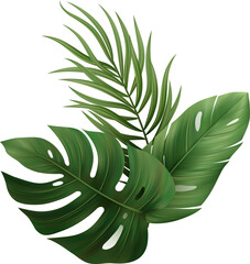 Palm Leaves Tropic