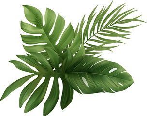 Palm Leaves Tropical