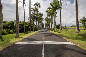 The famous Pallem allee l’Allée Dumanoir. Landscape shot from the middle of the street into the avenue. Taken on a changeable day.Grand Terre, Guadeloupe, Caribbean