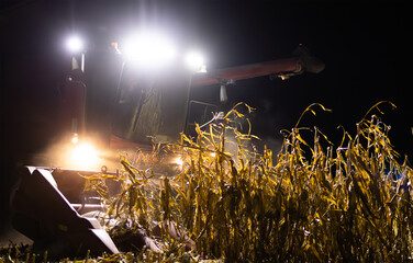 The combine harvests  at night