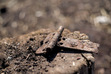 Brown rusty iron door hinge on the stump