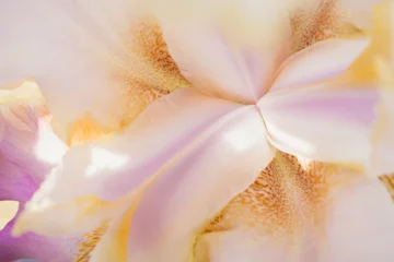 Türaufkleber Flower © T.Turzanski
