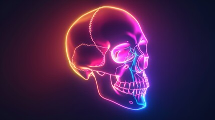 Neon light outline of a skull on dark background