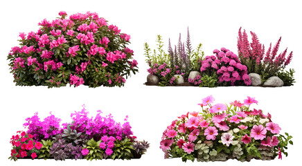 Obraz premium Set of garden flowers, cut out