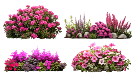 Set of garden flowers, cut out