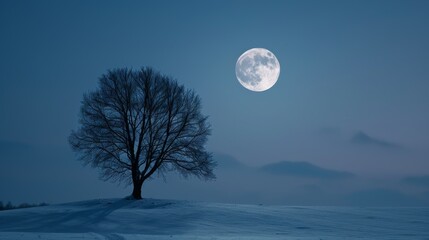 Lone tree under a full moon on a snowy night - obrazy, fototapety, plakaty