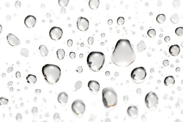 Glistening Water Droplets on White Surface. On a White or Clear Surface PNG Transparent Background.