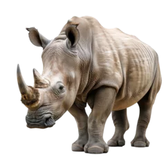 Rolgordijnen Side view of rhino isolated on a cut out PNG transparent background © Ivan Guia