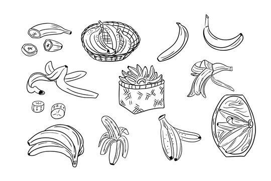 Set of banana fruits sketchy outline drawings. Vector black contour doodles of pieces of fruits and whole fruits on white background. Ideal for coloring pages, tattoo, pattern