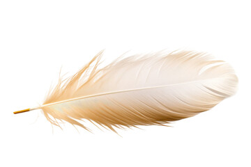 White Feather Resting on White Background. On a White or Clear Surface PNG Transparent Background.