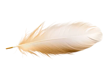Tableaux sur verre Plumes White Feather Resting on White Background. On a White or Clear Surface PNG Transparent Background.