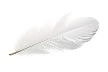 White Feather Resting on White Background. On a White or Clear Surface PNG Transparent Background.