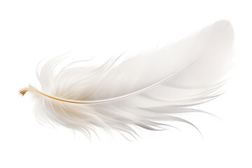 White Feather Resting on White Surface. On a White or Clear Surface PNG Transparent Background.
