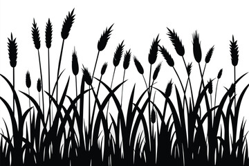 Black grass silhouettes isolated on a white background