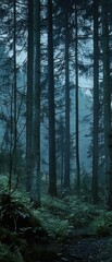 Fototapeta premium Detailed shot of a forest at dusk, capturing the eerie atmosphere where Bigfoot sightings have been reported, great for mystery settings