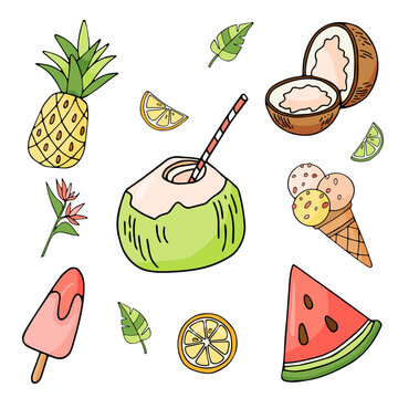 Summer vector set of fruits. Coconut, coconut milk, lime, lemon wedge, pineapple, watermelon, leaf, ice cream, popsicle