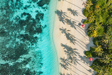 Summer palm tree shadows. Tropical beach sea sandy shore background. Perfect aerial landscape,...