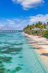 Beach beautiful coastline. Palm trees and Maldives sea. Pristine water is turquoise, white sand and green palm trees. Amazing nature landscape aerial paradise island. Coral reef sunny tourism vacation