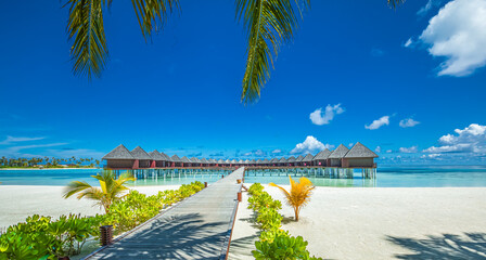 Summer vacation on tropical island hotel resort beautiful beach and palm trees sunny sea sky pier jetty path paradise landscape. Idyllic tourism relaxing view. Travel holiday exotic nature destination
