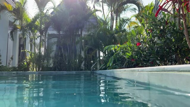 Tropical garden with a pond and beautiful bungalows. pool bungalows tropics . High quality 4k footage