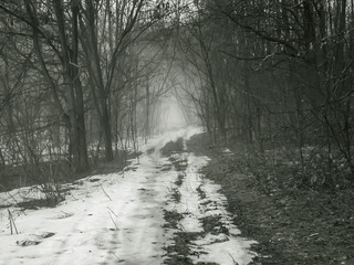 The beginning of spring. Snow melting. Road in the forest. Black and white image.