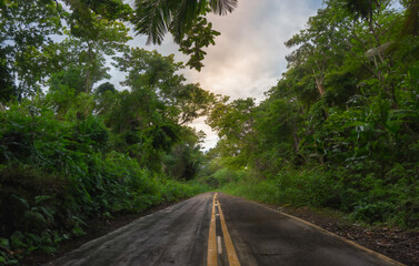 A scenic country lane winds through a lush green forest under a bright summer sky