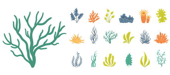 Collection of seaweeds, underwater sea plants, shells. Vector illustration of seaweeds, planting, marine algae and ocean corals silhouettes. Collection of cartoon algae. - obrazy, fototapety, plakaty