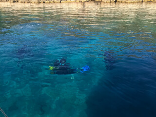 Aerial view of scuba divers underwater on a sunny day.