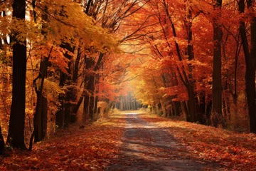 Foto op Aluminium Beautiful autumn landscape with road in the forest and yellow leaves. © tnihousestudio