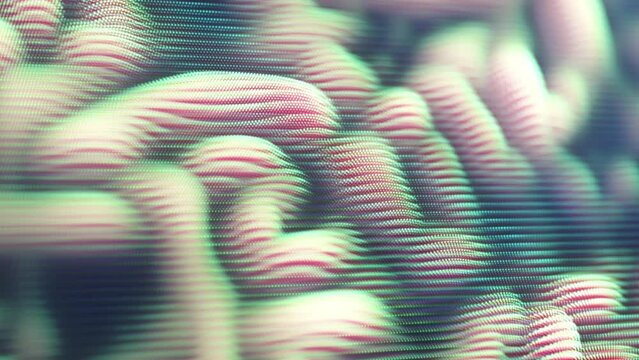 Growth of brain convolutions, microscopic view. Abstract concept of research of human brain, neuroscience and future medicine. Cerebral cortex 4K looped animation.