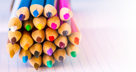 Group of multicolor pencils on white checkbook in a cage , close up shot