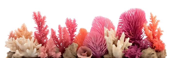 Tableaux ronds sur aluminium Récifs coralliens Coral reef cut out