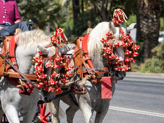 Horses with ornaments on the head saddlery details for carriage horses at the Málaga Fair