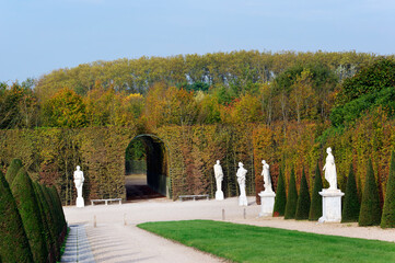 Alley in the gardens of the Versailles park. Ile-de-France Region	 - 770543526