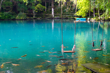 Traditional swing hanging over the blue lake, many goldfish around