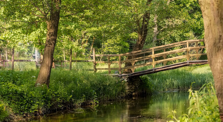 Drewniany malutki mostek w parku wiosną wśród pięknej zielonej wiosennej roślinności. Niewielka rzeka przepływająca przez park w szczytowym okresie wiosennego (zielonego) rozwoju drzew i innych roślin