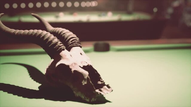 Animal Skull on a Pool Table