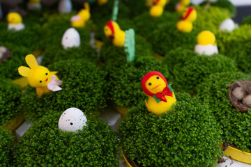 easter bunny and eggs chicken, spring