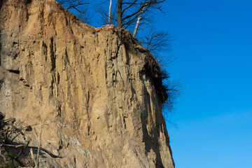 sand rocktrunk with sky cliff