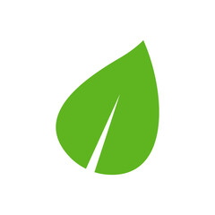 Set of isolated green leaf icons on white background. Abstract natural leaf icons. Elements. Vector illustration.