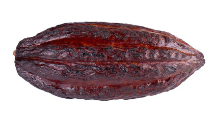 Fresh cacao fruits isolated on white background. Dark red cocoa pods. Clipping path.