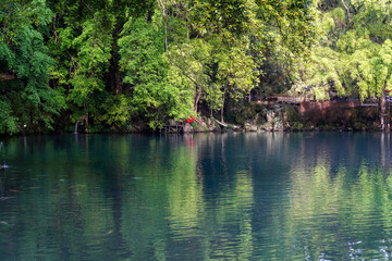 Obraz premium Beautiful view of the blue lake surrounded by trees around it.
